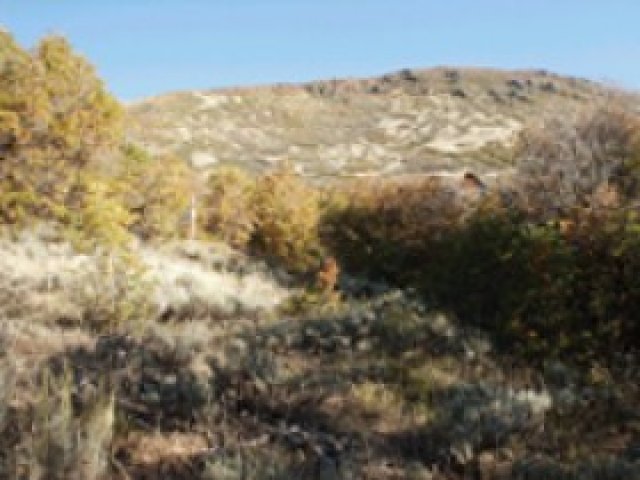 325 Interlaken Dr #128, Midway, UT 84049 — photo 4