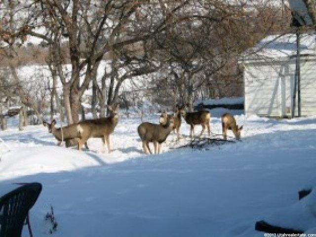 543 E 400 N, Bountiful, UT 84010 — photo 2