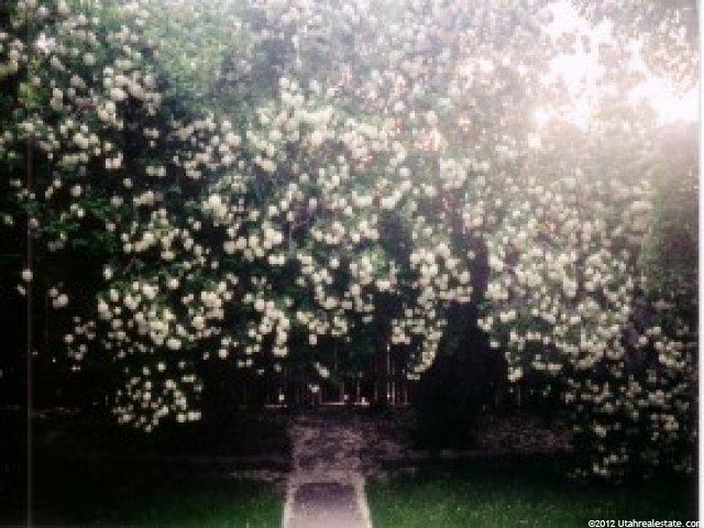 8135 S 1000 E, Sandy, UT 84094 — photo 7