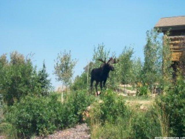 7325 Pine Ridge Dr #74, Park City, UT 84098 — photo 4
