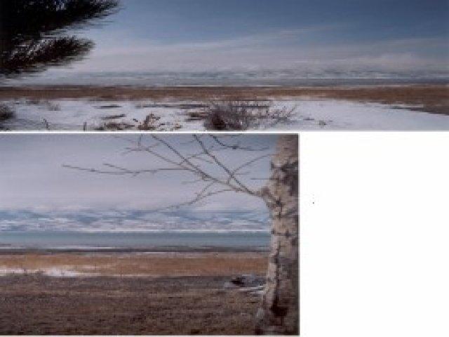 6 E Black Bear Rd #6, Laketown, UT 84038 — photo 4