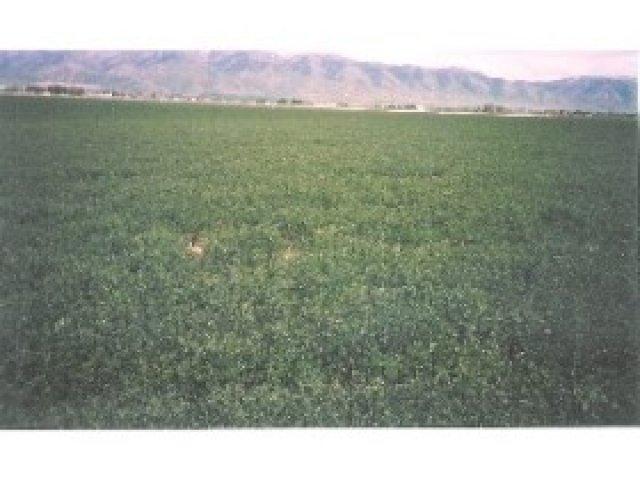 1049 W 4800 S, Franklin County, ID 83263 — photo 5