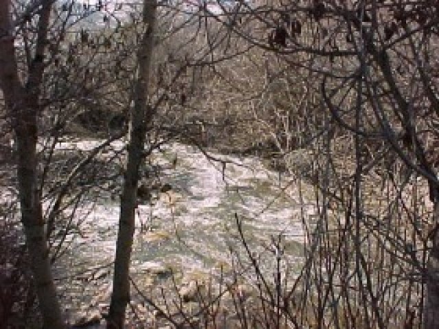 4952 Aspen Ln #26, Eden, UT 84310 — photo 3