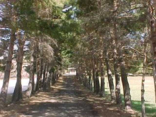 4564 N 3300 E, Liberty, UT 84310 — photo 6