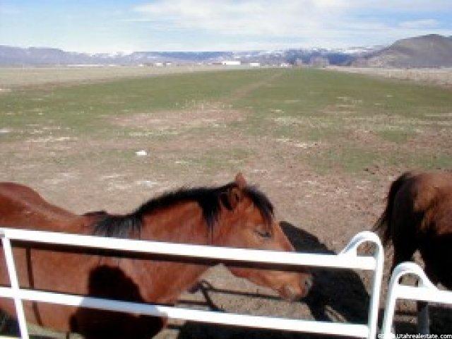 3191 S Probst Ln, Charleston, UT 84032 — photo 3