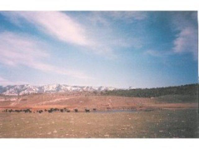 710 River Rd, Grace, ID 83241 — photo 2