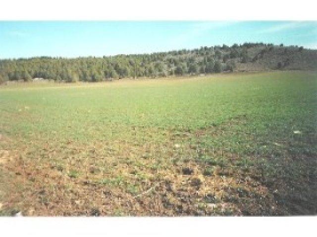 710 River Rd, Grace, ID 83241 — photo 3