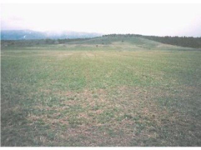 710 River Rd, Grace, ID 83241 — photo 5