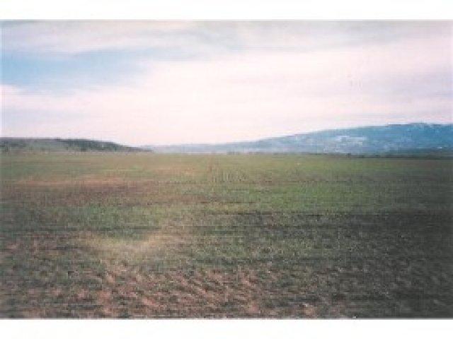 710 River Rd, Grace, ID 83241 — photo 4