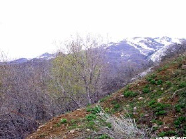 1587 E Maple Hls #34, Bountiful, UT 84010 — photo 3