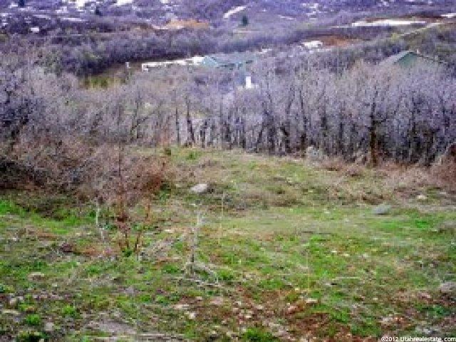 1587 E Maple Hls #34, Bountiful, UT 84010 — photo 7