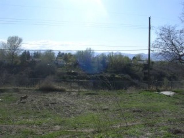 1008 E Serpentine Way S, Sandy, UT 84094 — photo 2