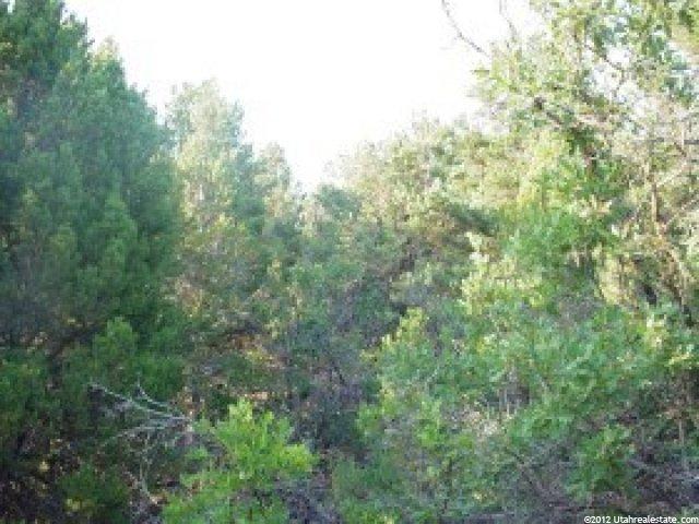 290 Hideaway Vly #290, Fairview, UT 84629 — photo 2