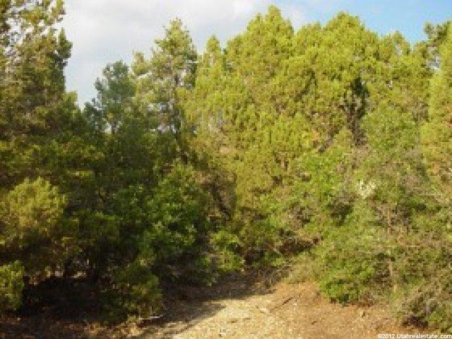 290 Hideaway Vly #290, Fairview, UT 84629 — photo 4