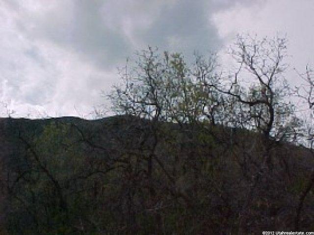 184 Birch Dr #184, Midway, UT 84049 — photo 4