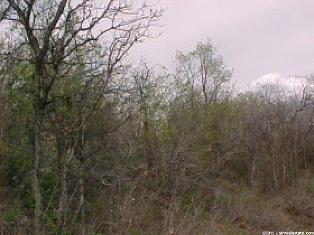 184 Birch Dr #184, Midway, UT 84049 — photo 6