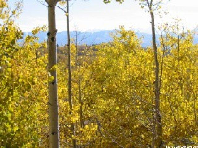 13 Carson Lane #13, Oakley, UT 84055 — photo 3