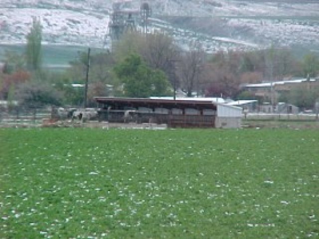 184 S 200 E, Trenton, UT 84338 — photo 5