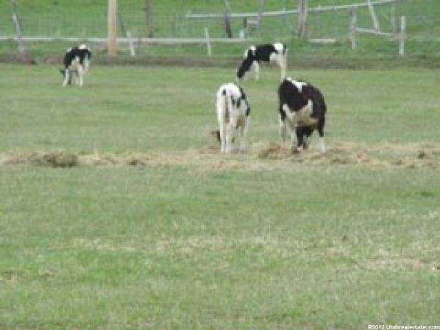525 N Border Station Rd E, Coalville, UT 84017 — photo 2