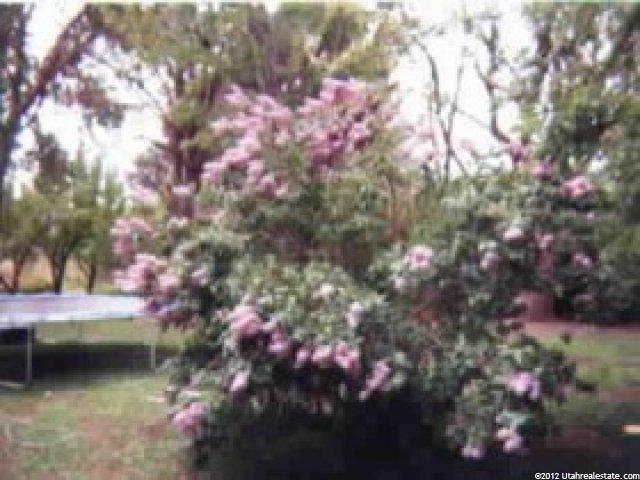2379 E 6600 S, Uintah, UT 84405 — photo 7