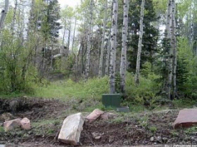 2348 W Red Pine Rd, Park City, UT 84098 — photo 2