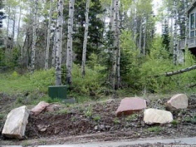 2348 W Red Pine Rd, Park City, UT 84098 — photo 3