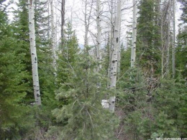 2470 W White Pine Ln #3, Park City, UT 84098 — photo 2