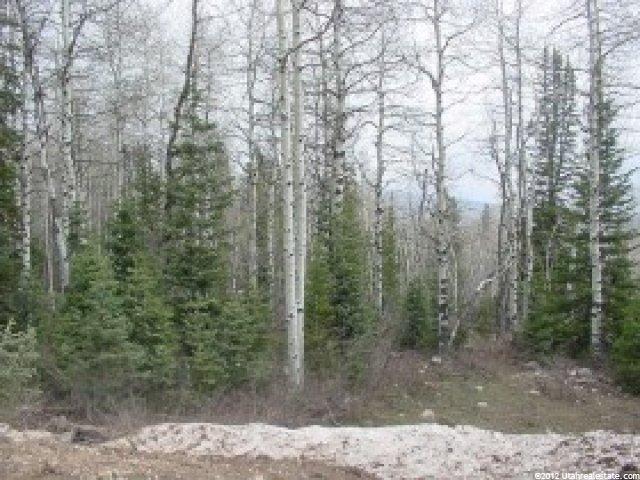 2470 W White Pine Ln #3, Park City, UT 84098 — photo 3