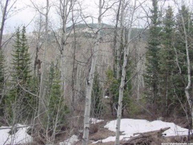 2470 W White Pine Ln #3, Park City, UT 84098 — photo 7
