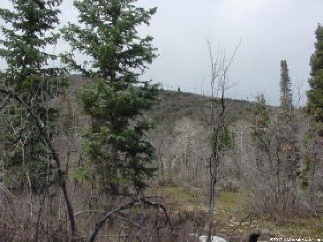2470 W White Pine Ln #3, Park City, UT 84098 — photo 8