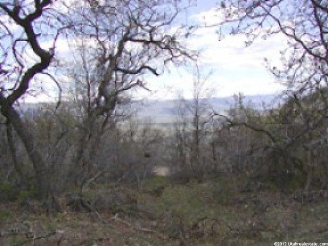 163 Oak Haven #163, Midway, UT 84049 — photo 2