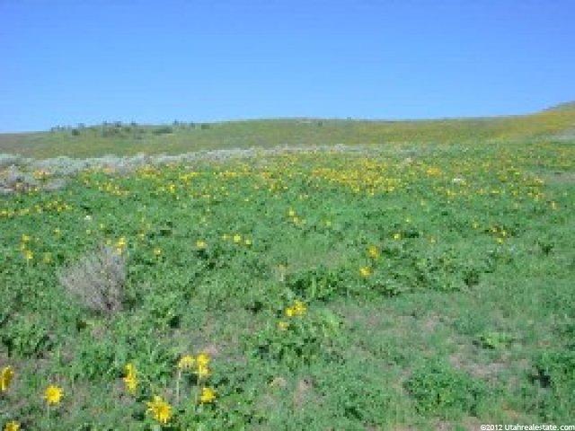 44 Ranch Loop Rd #44, Preston, ID 83263 — photo 6