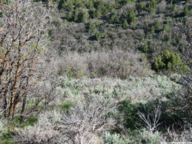 33420 S 4450 E #27, Fairview, UT 84629 — photo 4