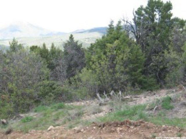 34000 N 10000e, Fairview, UT 84629 — photo 2