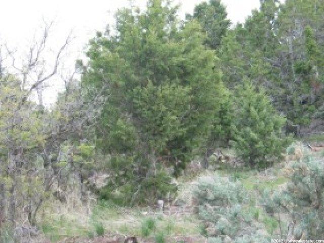 34000 N 10000e, Fairview, UT 84629 — photo 3