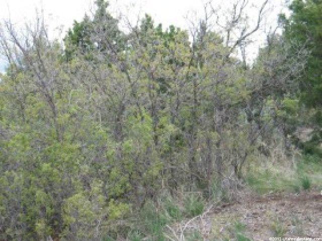 34000 N 10000e, Fairview, UT 84629 — photo 4