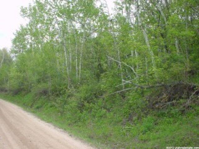 35 Basin Rd #A-35, Kimball Junction, UT 84098 — photo 2