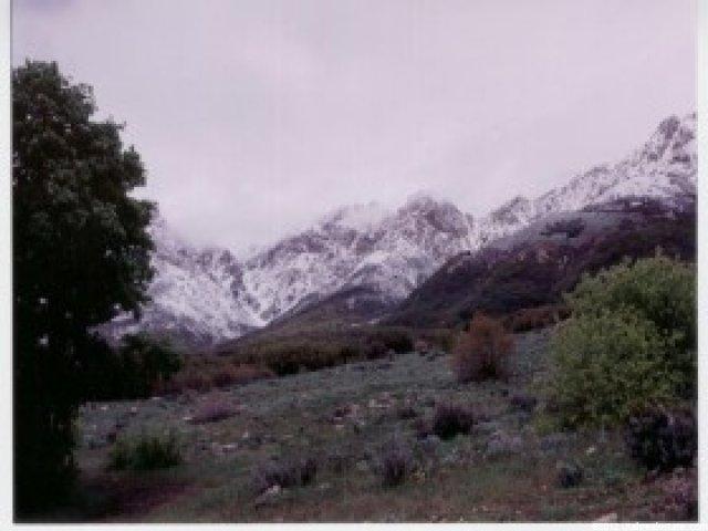 1050 E 4050 N, North Ogden, UT 84414 — photo 5