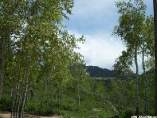 33 Escalante, Oakley, UT 84055 — photo 5