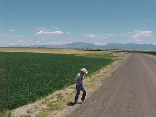 3400 S 2300 W, Oasis, UT 84650 — photo 4