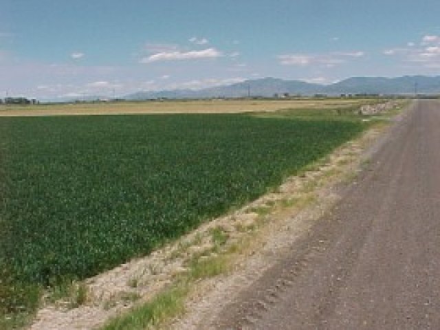 3400 S 2300 W, Oasis, UT 84650 — photo 5