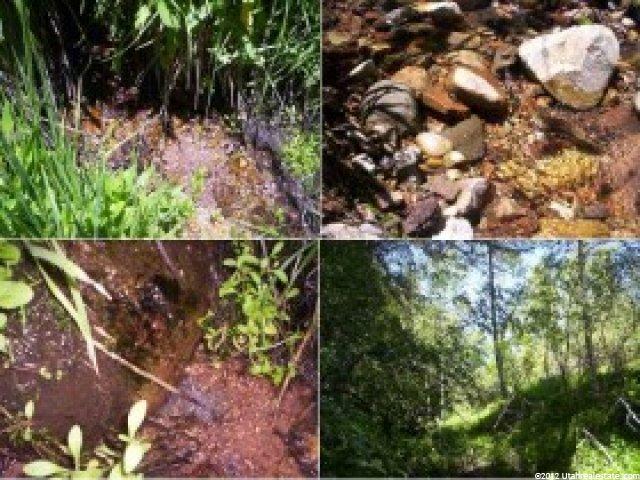 145 Tollgate Canyon Rd #156C, Wanship, UT 84017 — photo 4