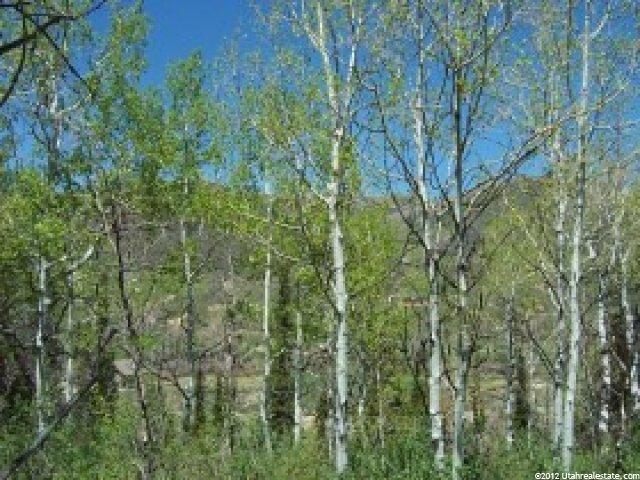 24 Uncompahgre #24, Oakley, UT 84055 — photo 2