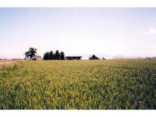 1088 E 2200 S, Preston, ID 83263 — photo 8