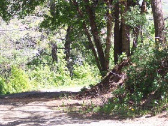 3765 E 1950 N, Eden, UT 84310 — photo 8