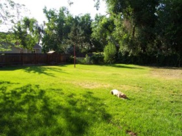 6390 S 900 E, Murray, UT 84121 — photo 7