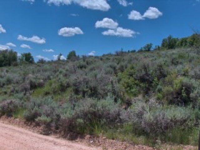 31 N Aspen Loop #31, Garden City, UT 84028 — photo 4