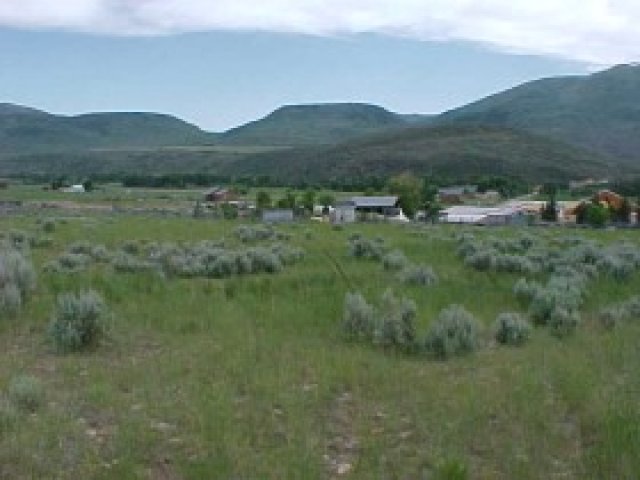 1505 E Main Canyon Rd, Wallsburg, UT 84082 — photo 3