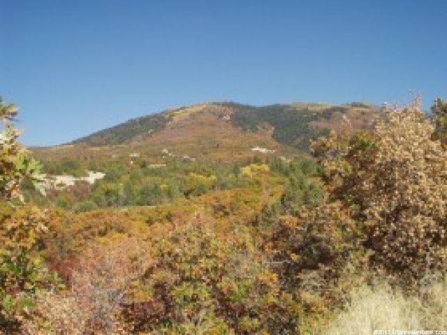 1 Mountain Cabin, Mt Pleasant, UT 84647 — photo 8