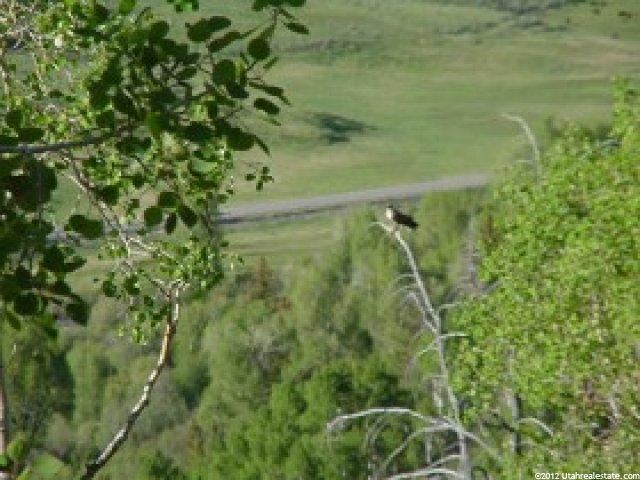 107 Hidden, Oakley, UT 84055 — photo 2